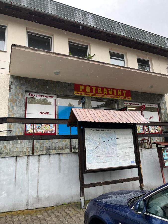 Apartmán Na Horách Zlata Olesnice  Exterior foto